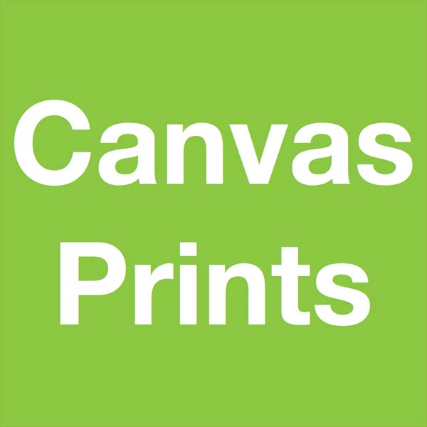 Print photos on canvas with the Canvas Prints App